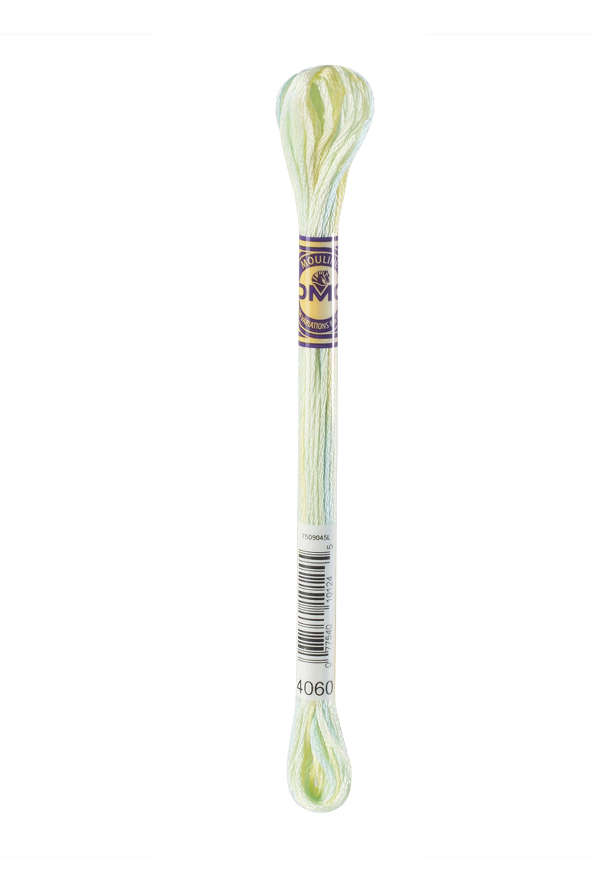 Fil à broder Mouliné Color Variations DMC