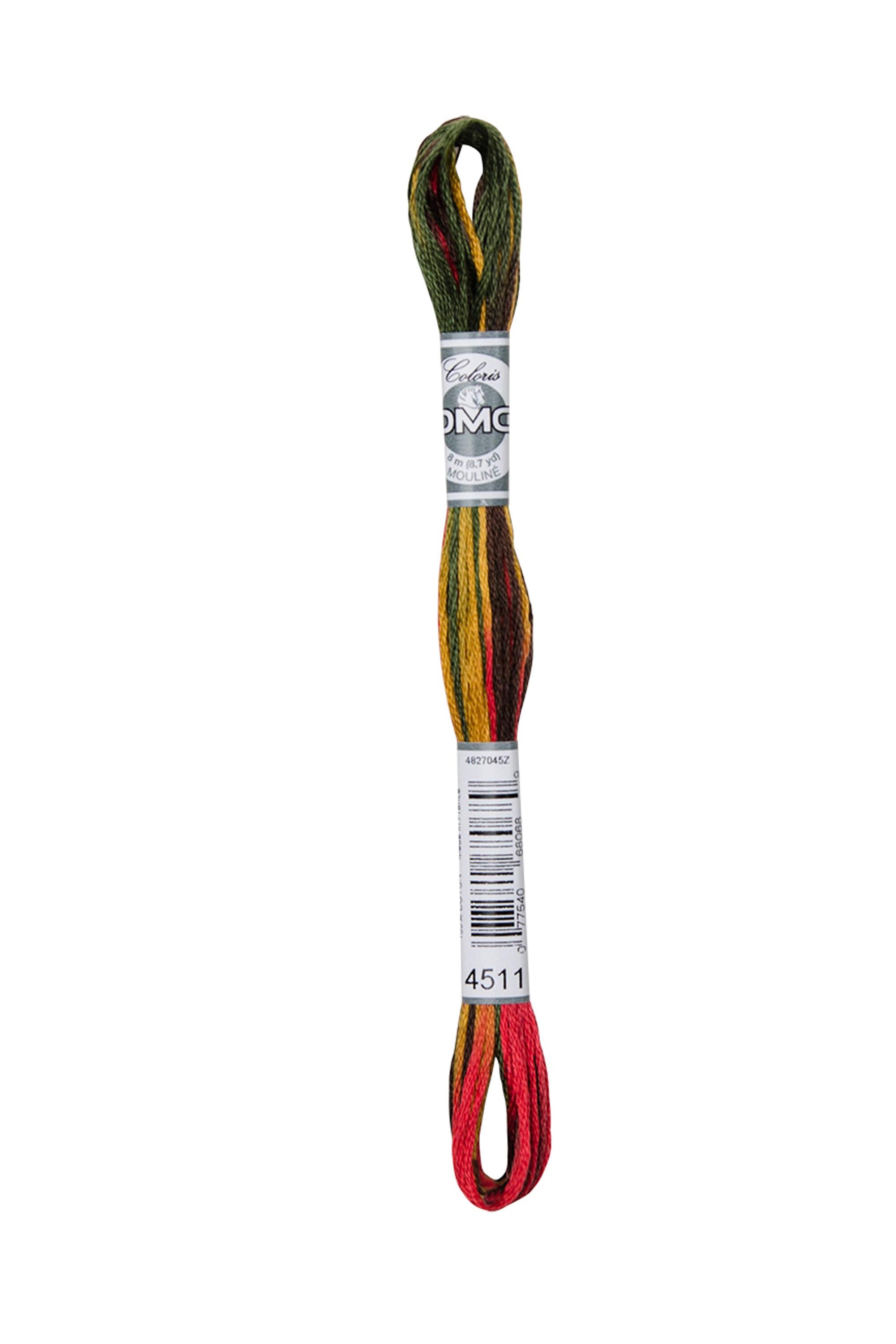 Fil À Broder Mouliné Coloris Dmc