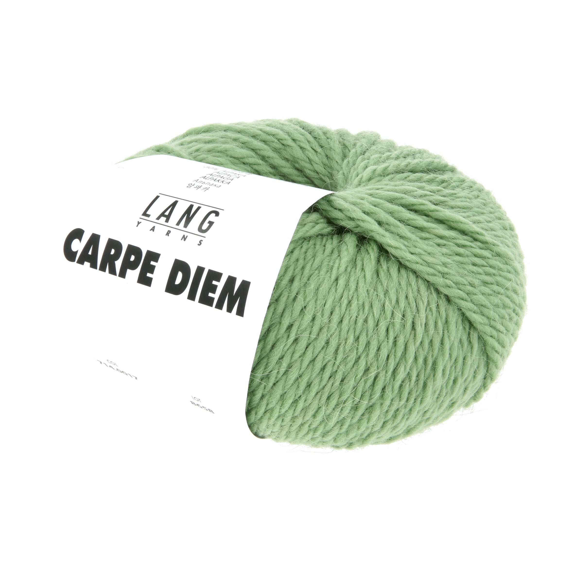 Carpe Diem LANG YARNS