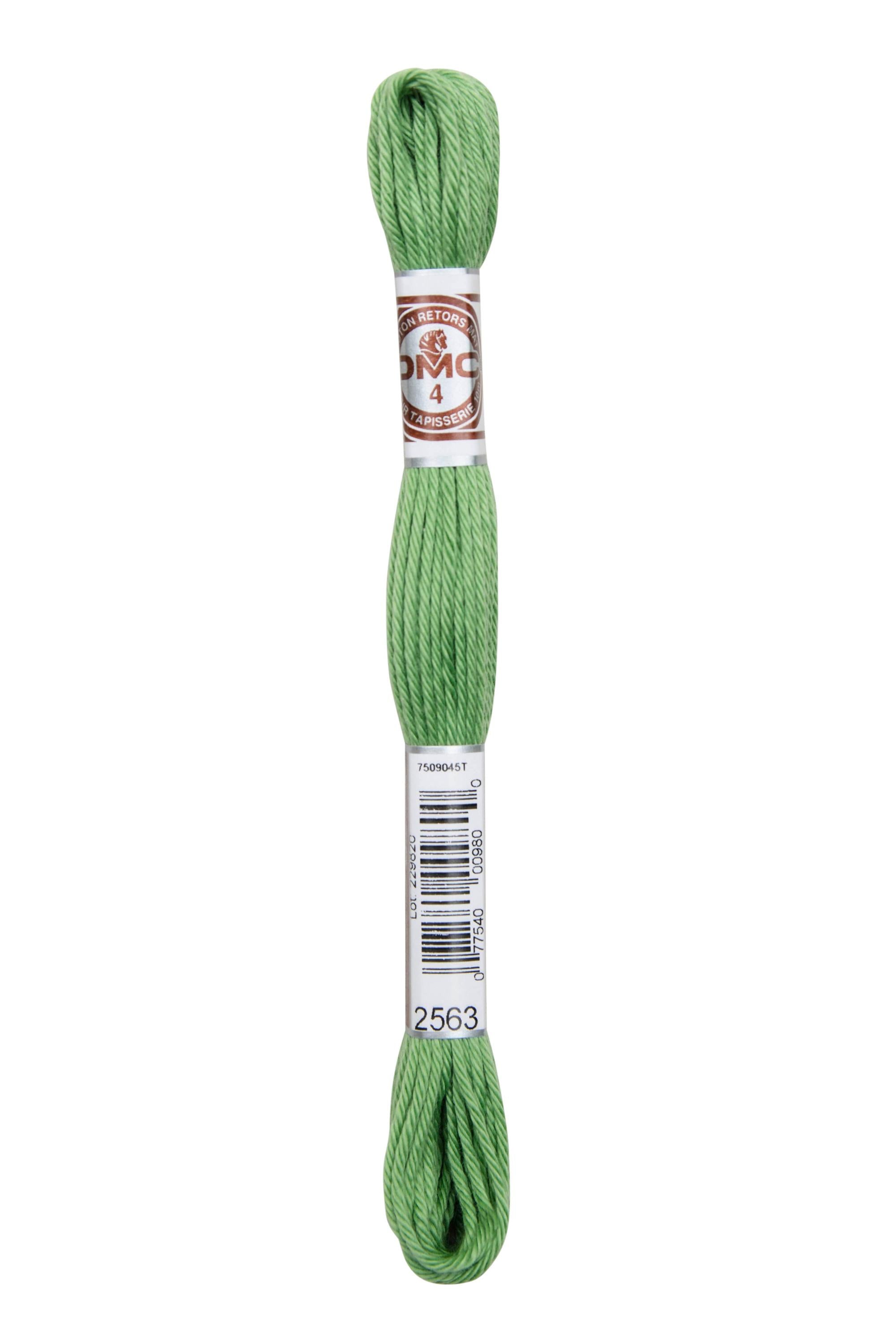 Fil à tapisserie retors mat couleurs 2471 à Ecru DMC