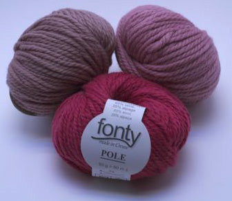 Pôle