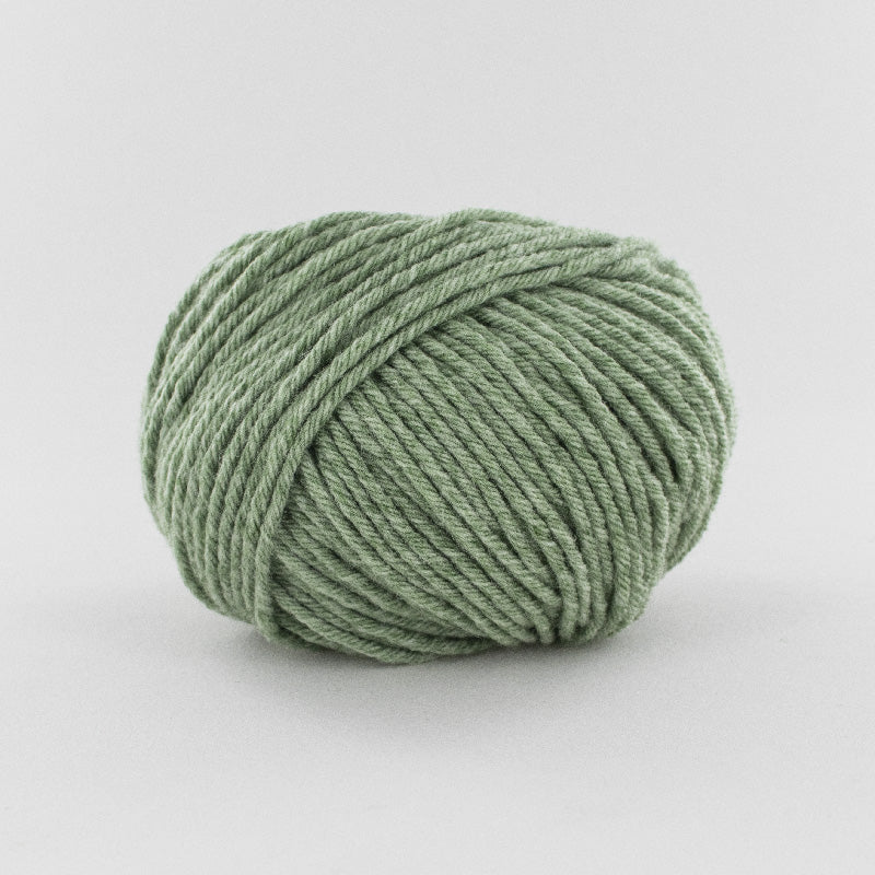 Tartan 6