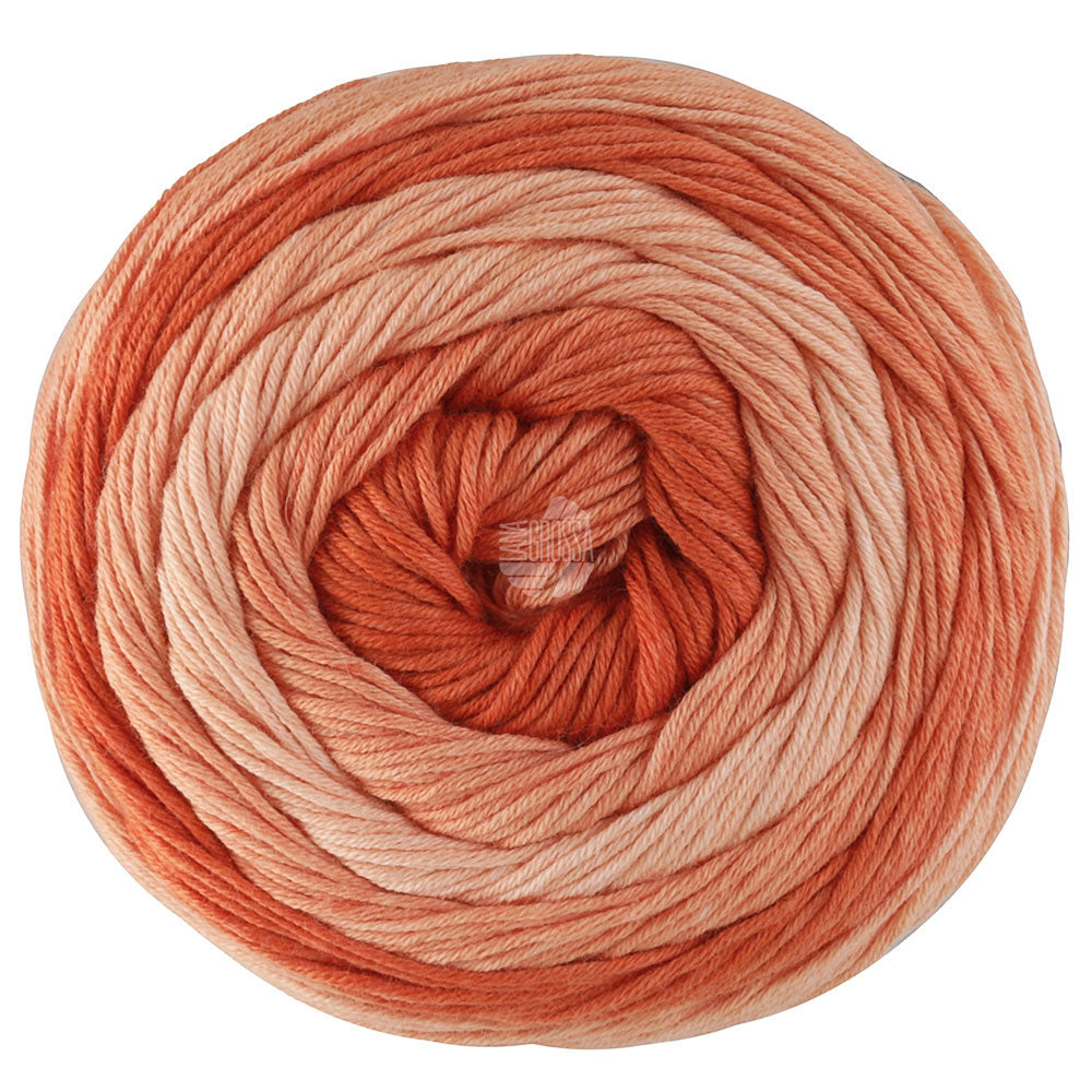 Gomitolo tono LANA GROSSA