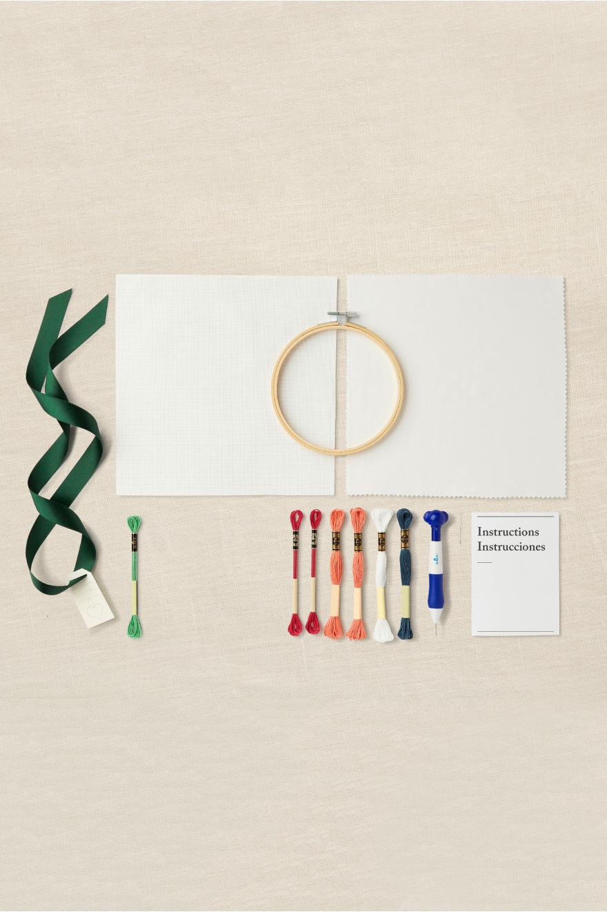 Kit Punch Needle Fox le renard DMC