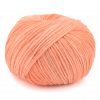 Sorbet